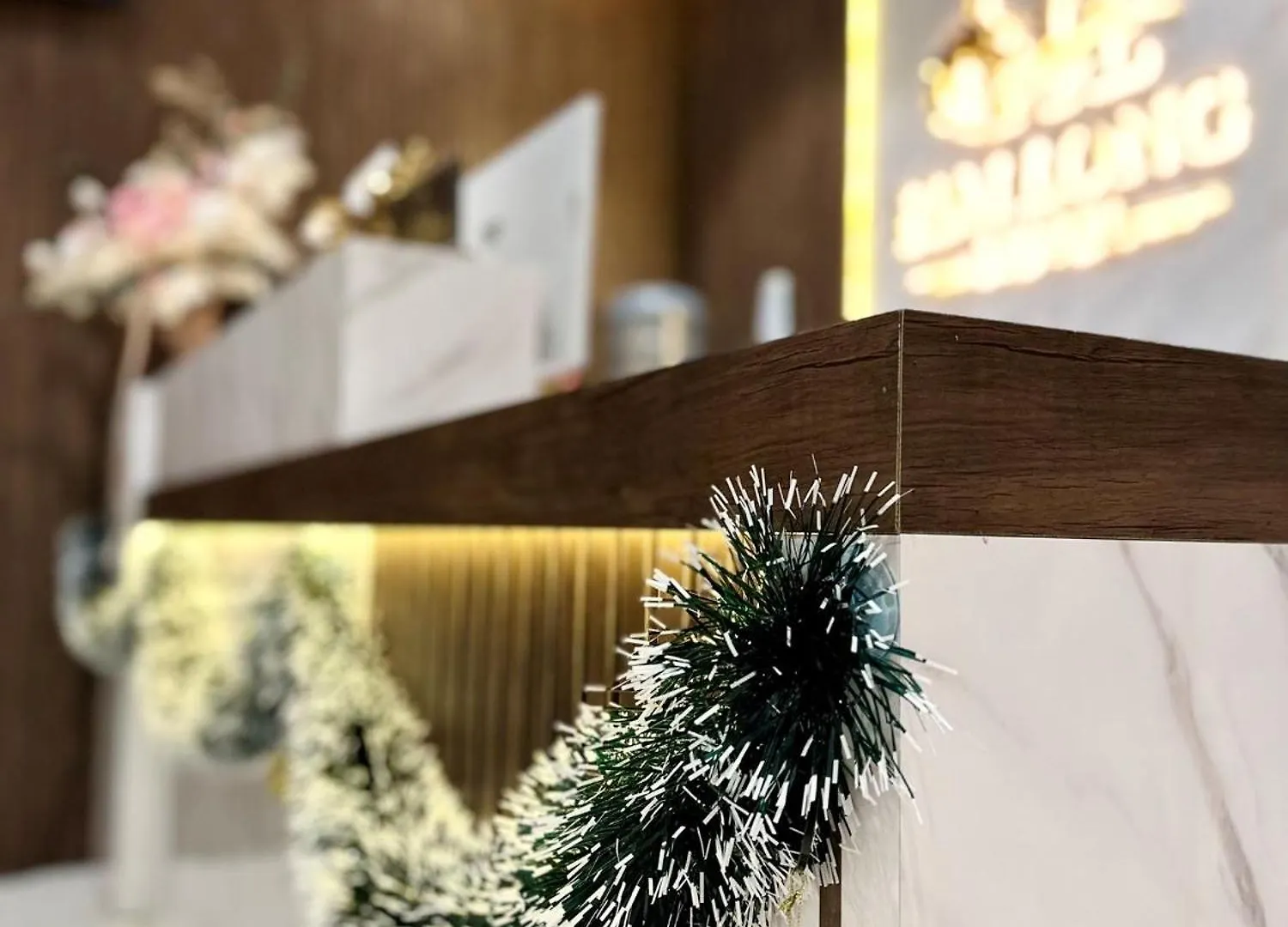 Hai Long Hotel 2 فونج تاو